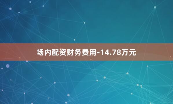 场内配资财务费用-14.78万元
