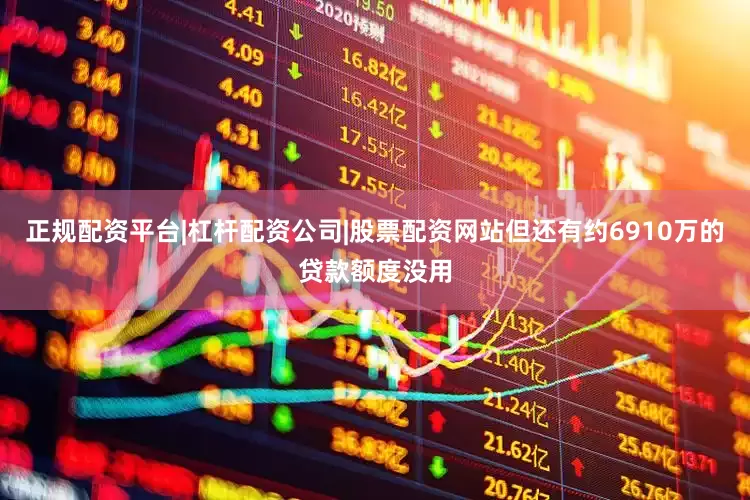 正规配资平台|杠杆配资公司|股票配资网站但还有约6910万的贷款额度没用
